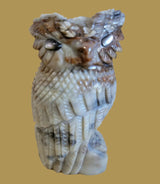 Picasso Marble Owl w/Very Cool Eyes Zuni Fetish