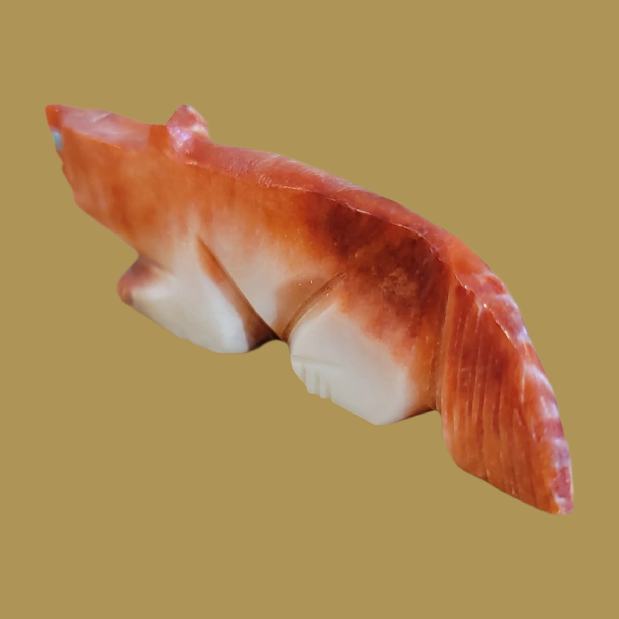 Spiny Oyster Shell Zuni Fetish Wolf