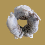 Triple Antler Bison/Buffalo Family Zuni Fetish