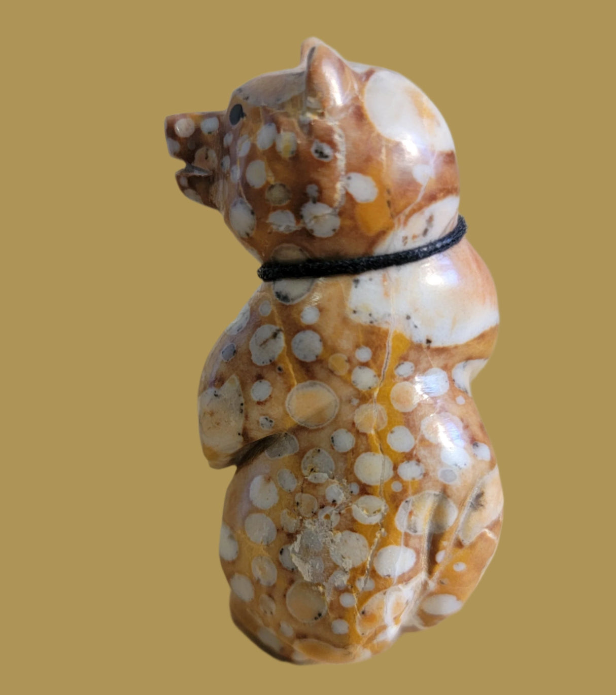 Tijillite Bear Snazzy Dude w/Sterling Silver Turquoise and Coral Bolo Tie Zuni Fetish