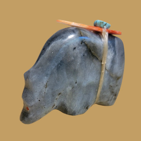 Labradorite Grizzly Bear w/Colorful Offering Zuni Fetish
