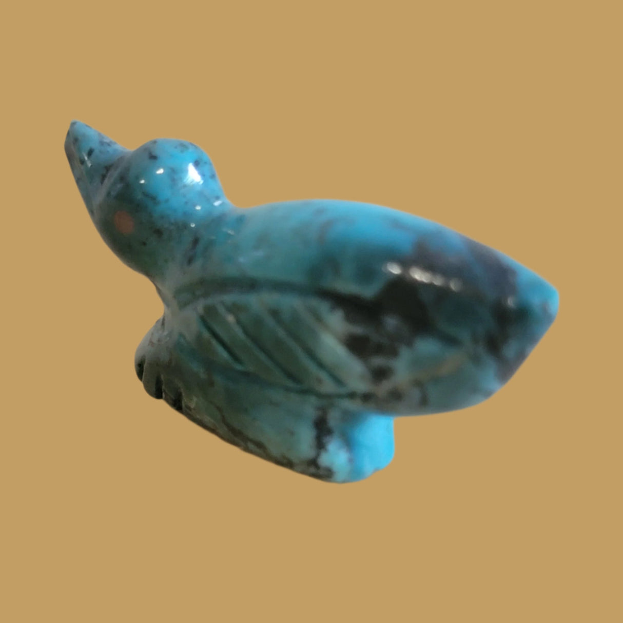 Turquoise Hummingbird Zuni Fetish