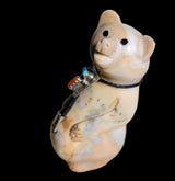 Chubby And Happy Tijillite Bear w/ Sterling Bolo Zuni Fetish