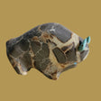 Large Septarian Nodule/ Utah Geode Bison/Buffalo Zuni Fetish