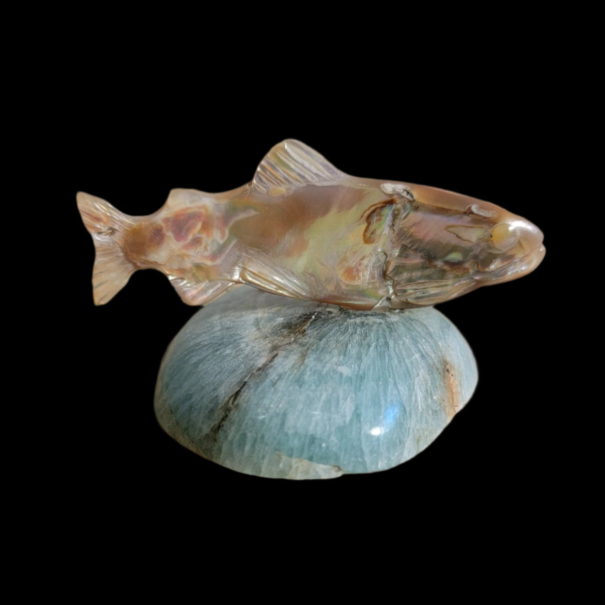 Elegant Gliding Abalone w/Fluorite Fish/Trout Zuni Fetish