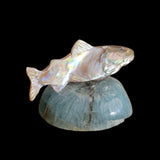 Elegant Gliding Abalone w/Fluorite Fish/Trout Zuni Fetish