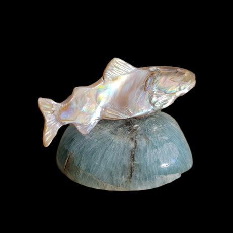 Elegant Gliding Abalone w/Fluorite Fish/Trout Zuni Fetish