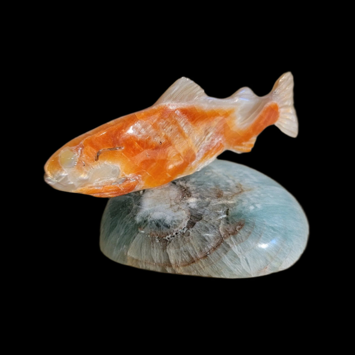 Elegant Gliding Abalone w/Fluorite Fish/Trout Zuni Fetish