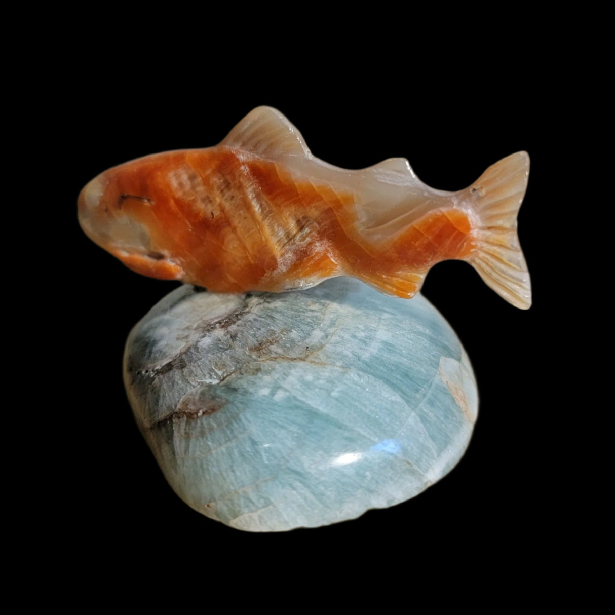 Elegant Gliding Abalone w/Fluorite Fish/Trout Zuni Fetish