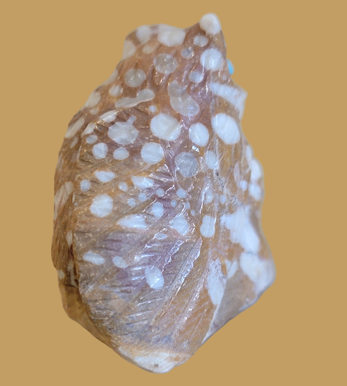 Tijillite Owl and Owlette Zuni Fetish