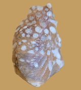 Tijillite Owl and Owlette Zuni Fetish