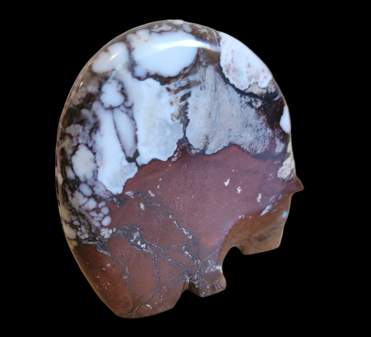 Classic Crazy Horse Stone Medicine Bear Zuni Fetish