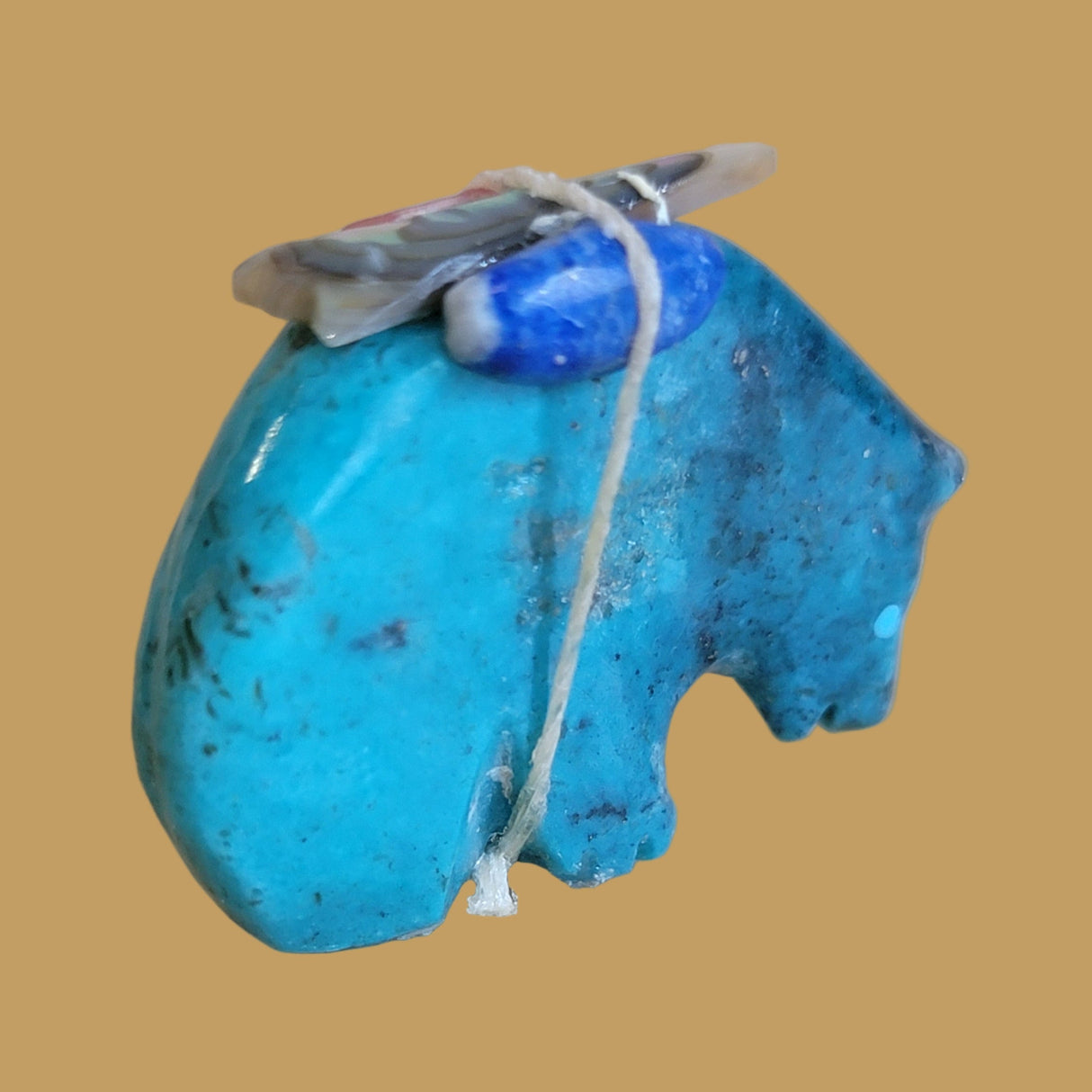 Turquoise Medicine Bear w/Pack Zuni Fetish