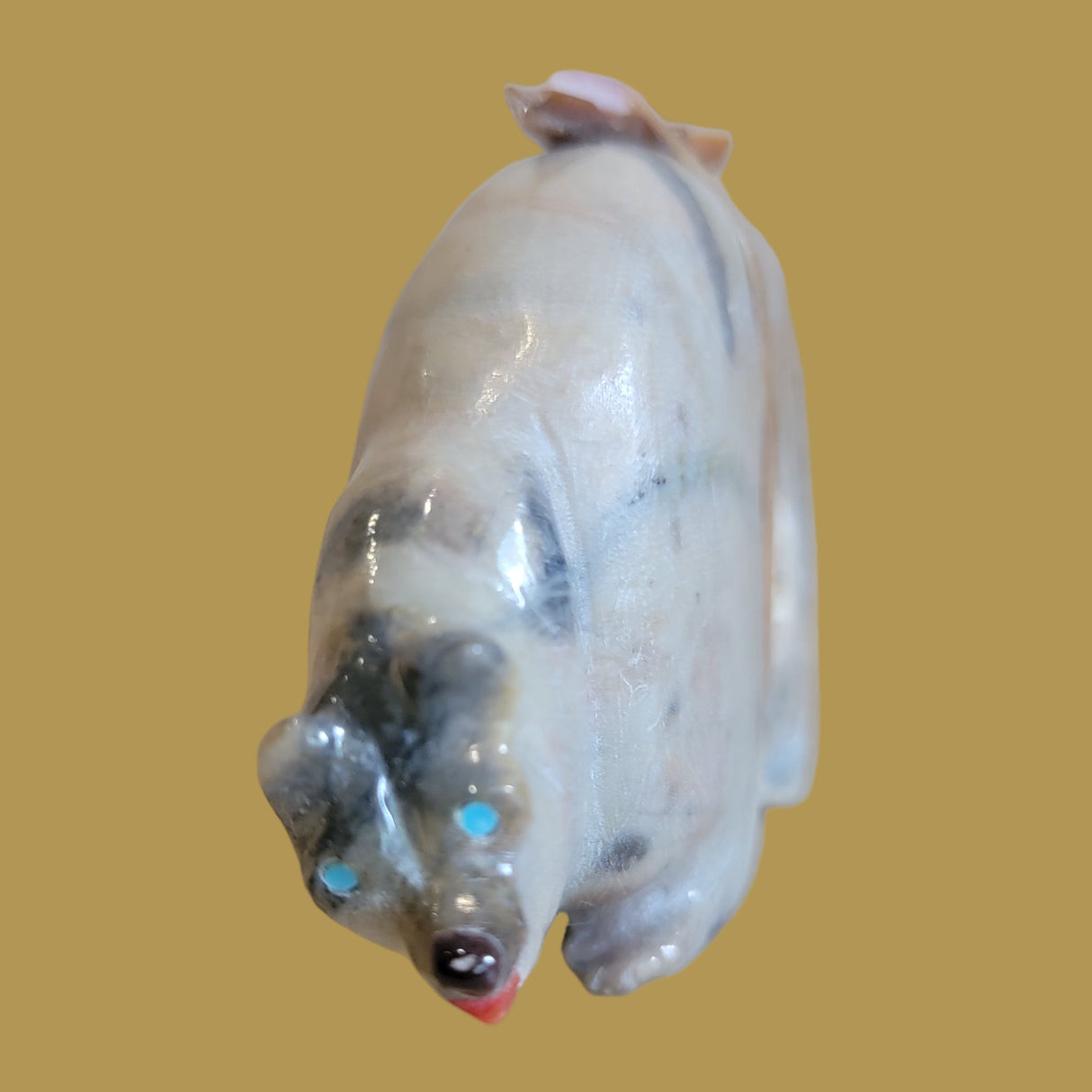 Large and Powerful Humped Back Zuni Fetish Bear