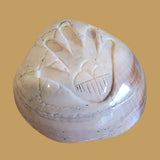 Fossilized Spiny Oyster Shell Hand w/Rainclouds