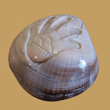 Fossilized Spiny Oyster Shell Hand w/Rainclouds