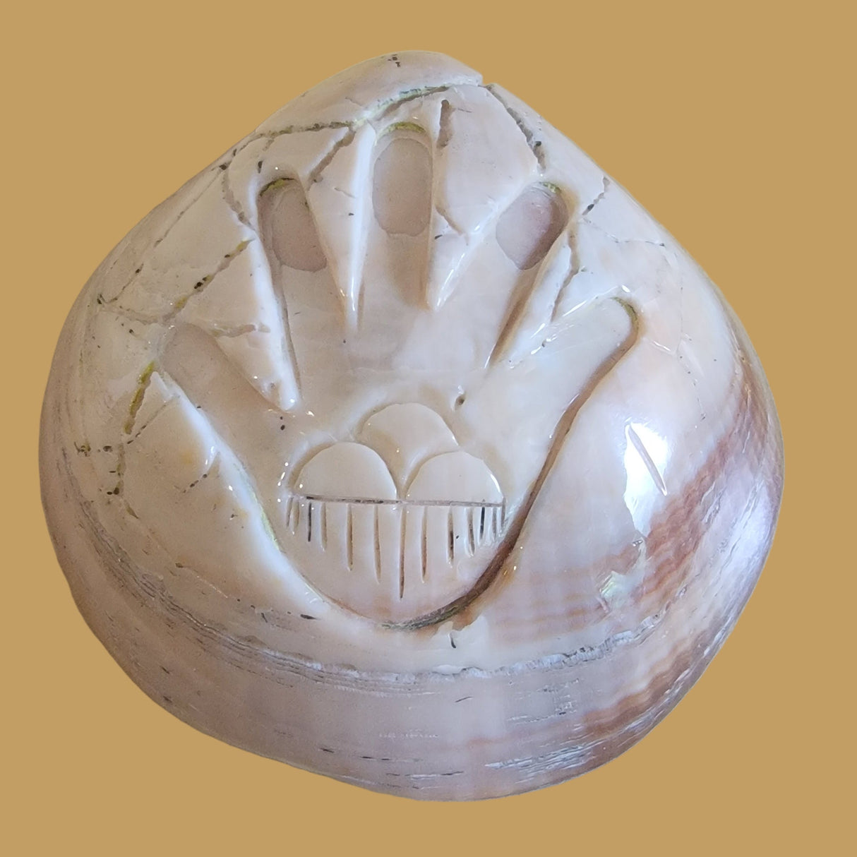 Fossilized Spiny Oyster Shell Hand w/Rainclouds