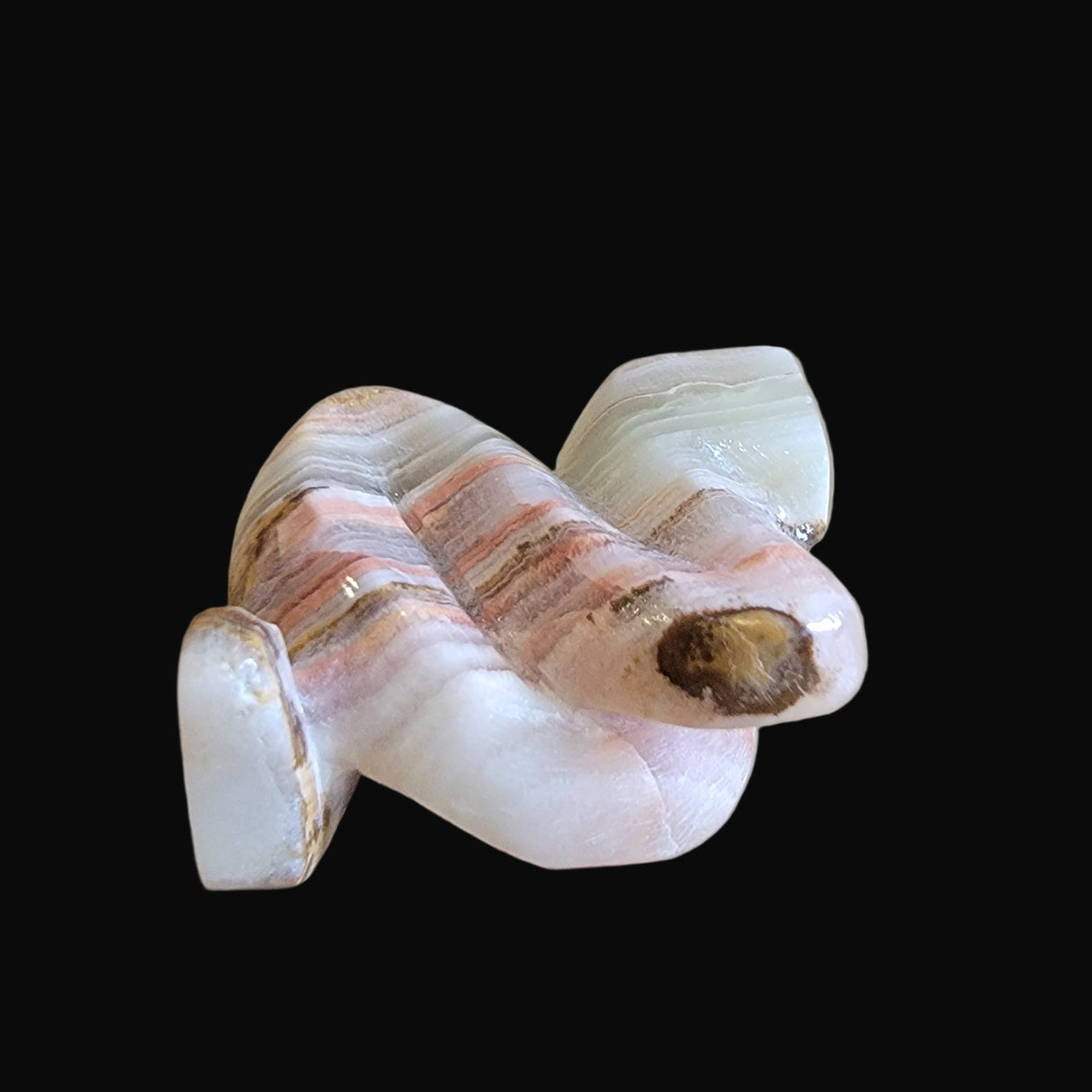 Coiled and Striking Onyx Snake Zuni Fetish