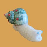 Snail Shell Fancy Snail Zuni Fetish