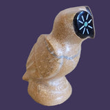 Travertine Owl "Can See What Others Cannot See" Zuni Fetish