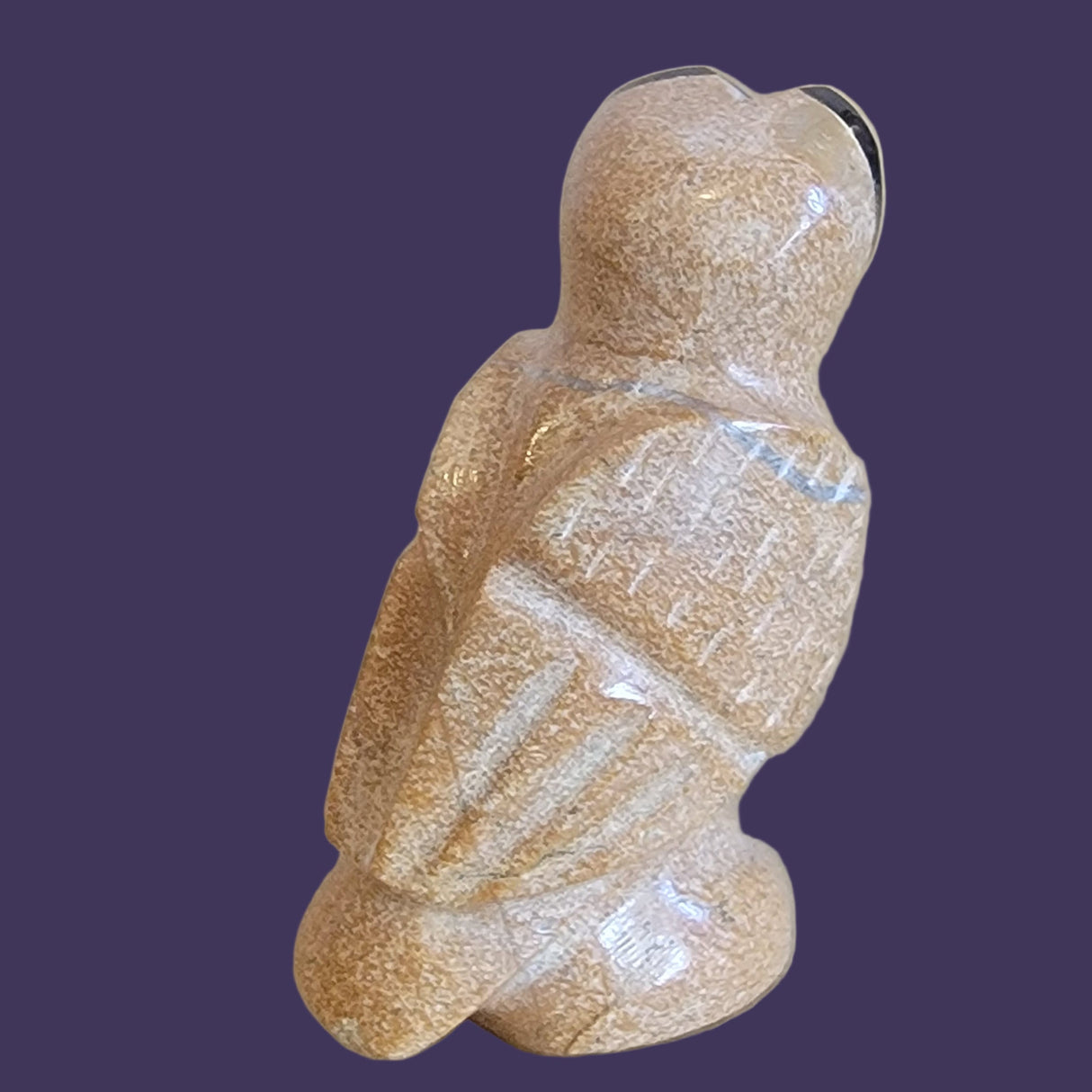 Travertine Owl "Can See What Others Cannot See" Zuni Fetish