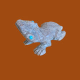 Eye of Toad is Turquoise! Zuni Fetish