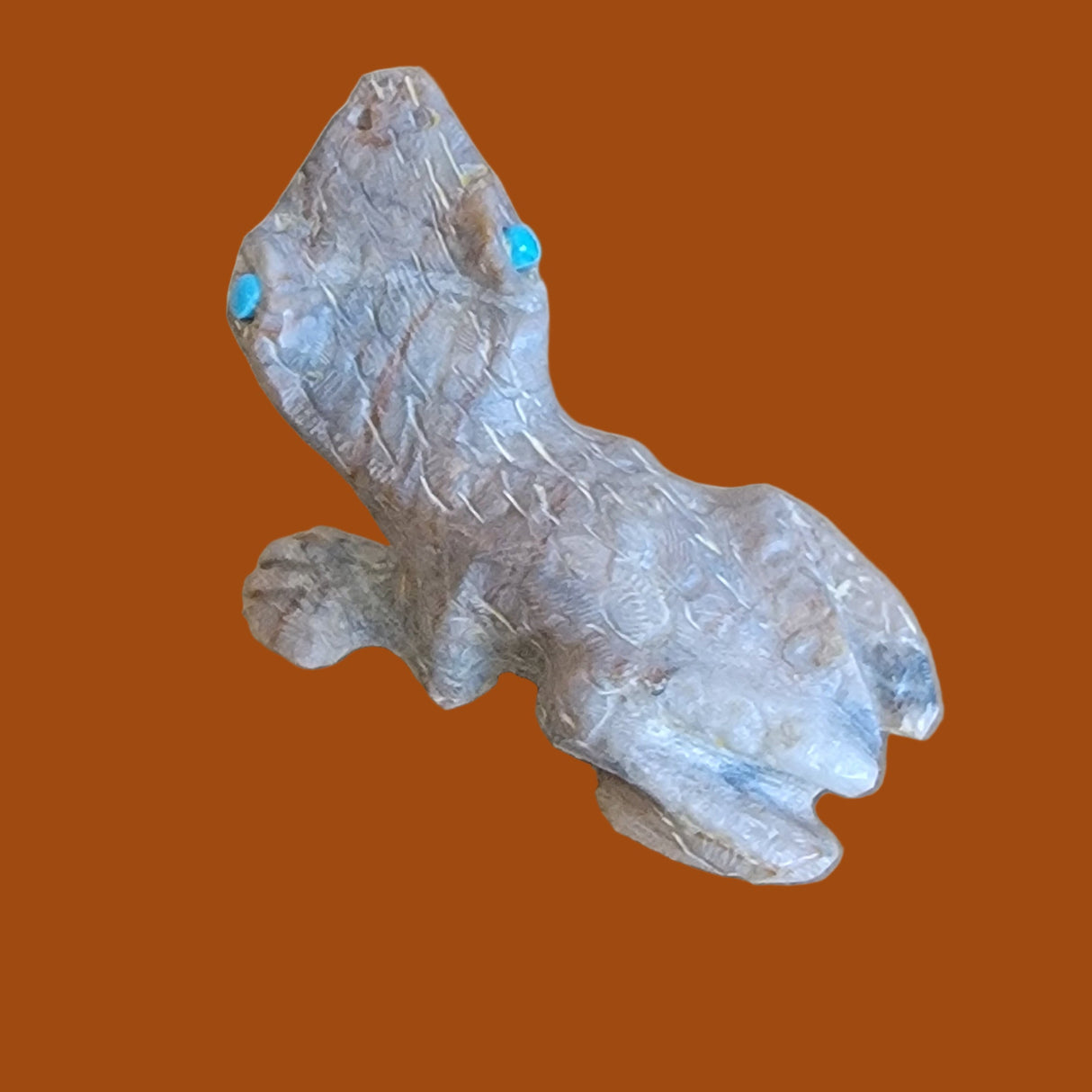 Eye of Toad is Turquoise! Zuni Fetish