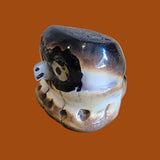 Haloo Halloween Antler Burnished Owl Zuni Fetish