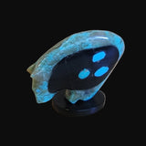 Ghost Face Turquoise Bearden/ Maiden, Bear and Ghost Face Zuni Fetish