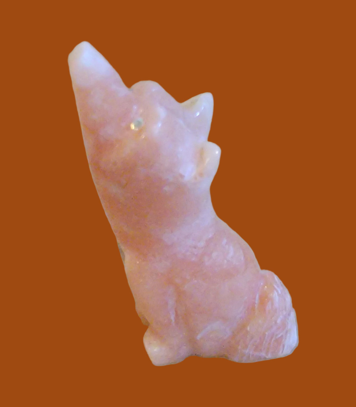 Howling in the Night Alabaster Coyote Zuni Fetish