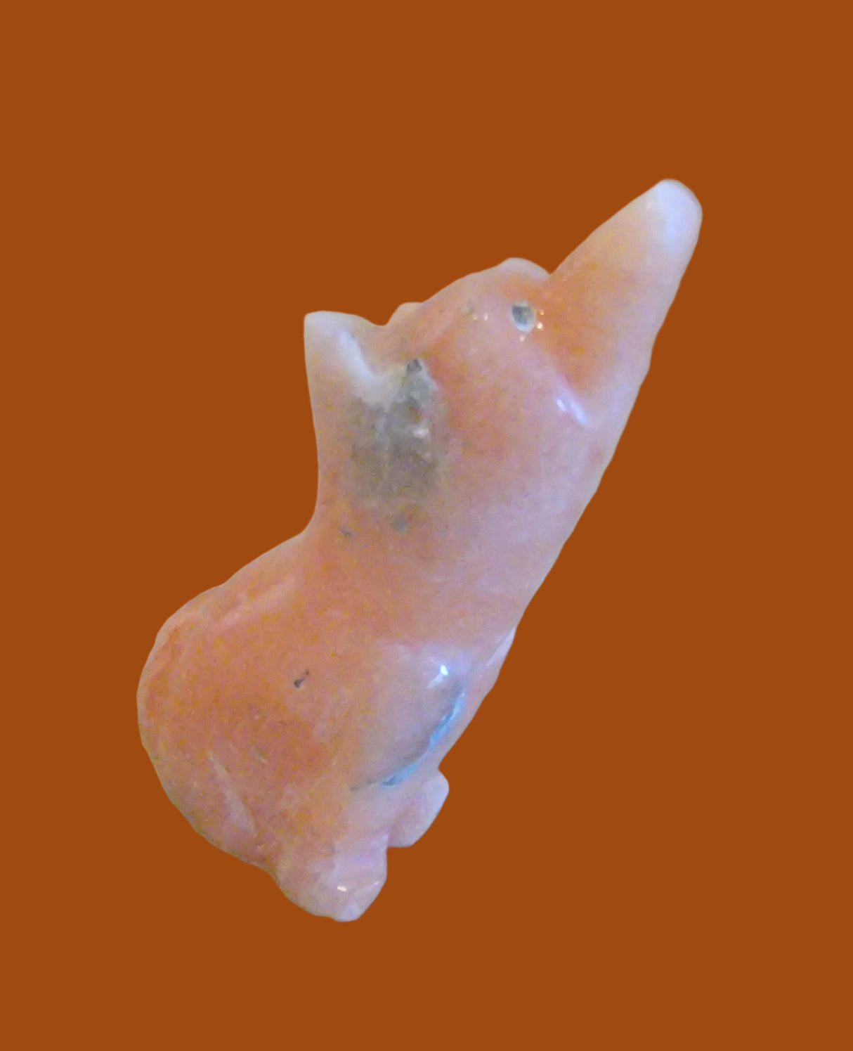 Howling in the Night Alabaster Coyote Zuni Fetish