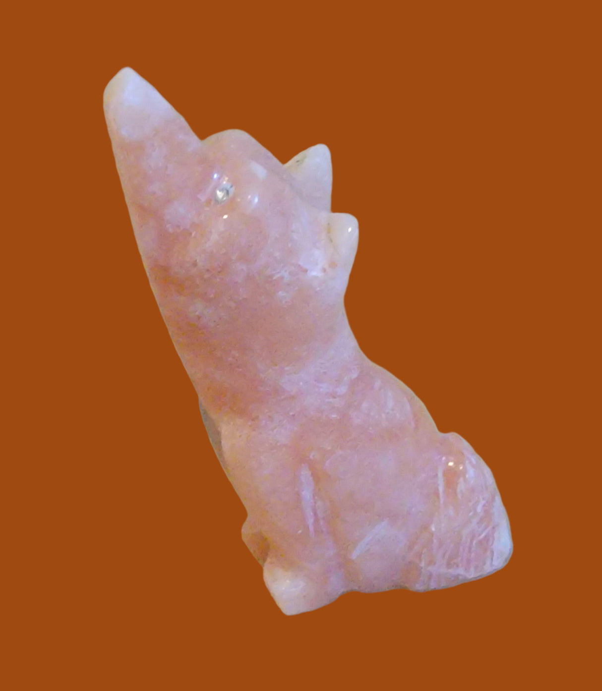 Howling in the Night Alabaster Coyote Zuni Fetish