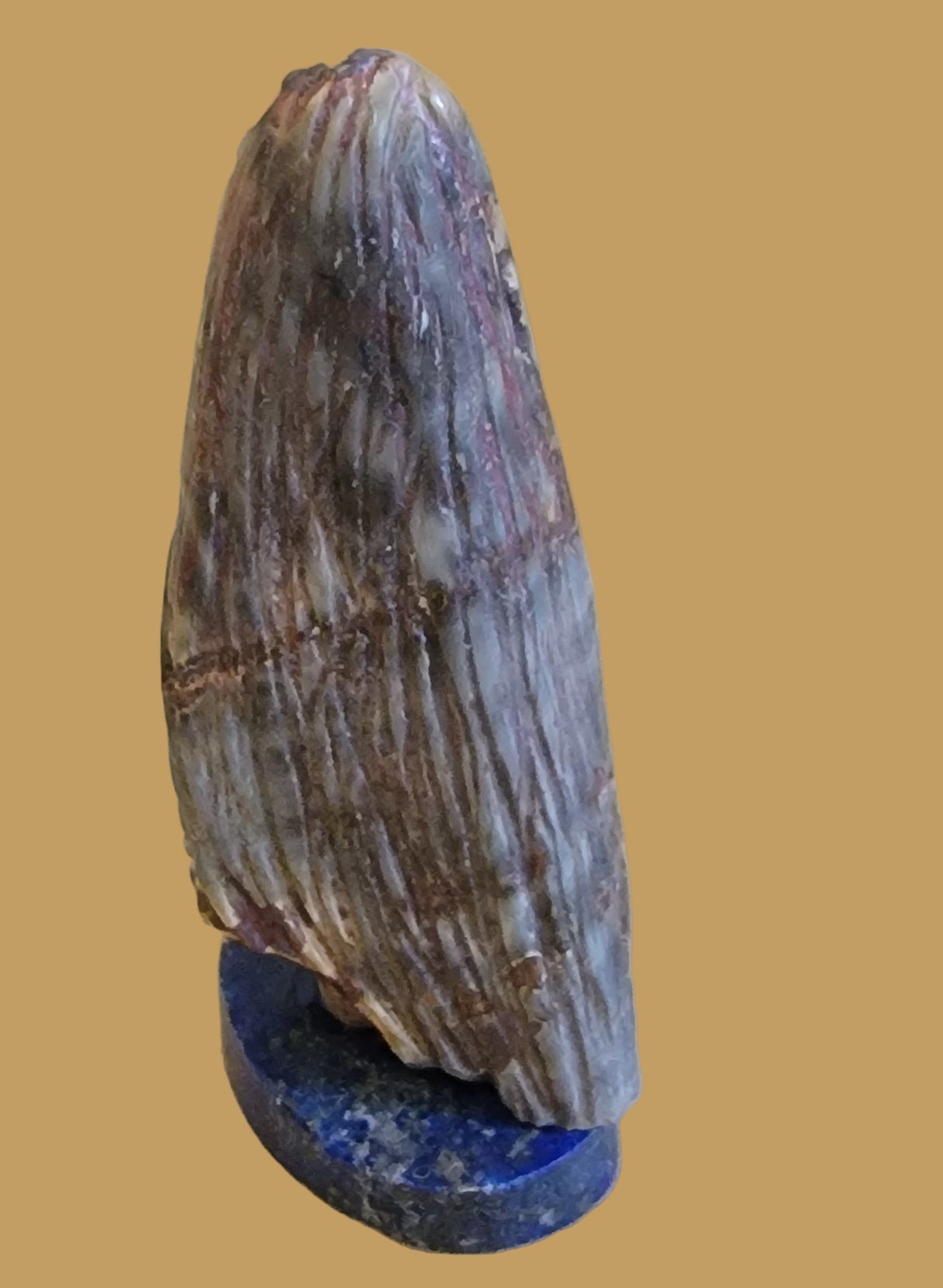 Autumn Zuni Corn Maiden Zuni Fetish