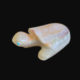 Onyx Turtle w/ Etched Shell Back Zuni Fetish