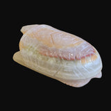 Onyx Turtle w/ Etched Shell Back Zuni Fetish