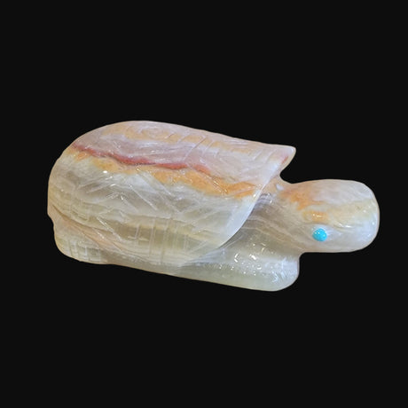 Onyx Turtle w/ Etched Shell Back Zuni Fetish