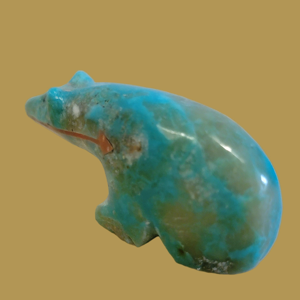 Long Necked Turquoise Bear w/Coral Heartline Zuni Fetish