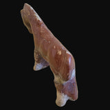 Crazy Horse Stone Healing Horse Zuni Fetish