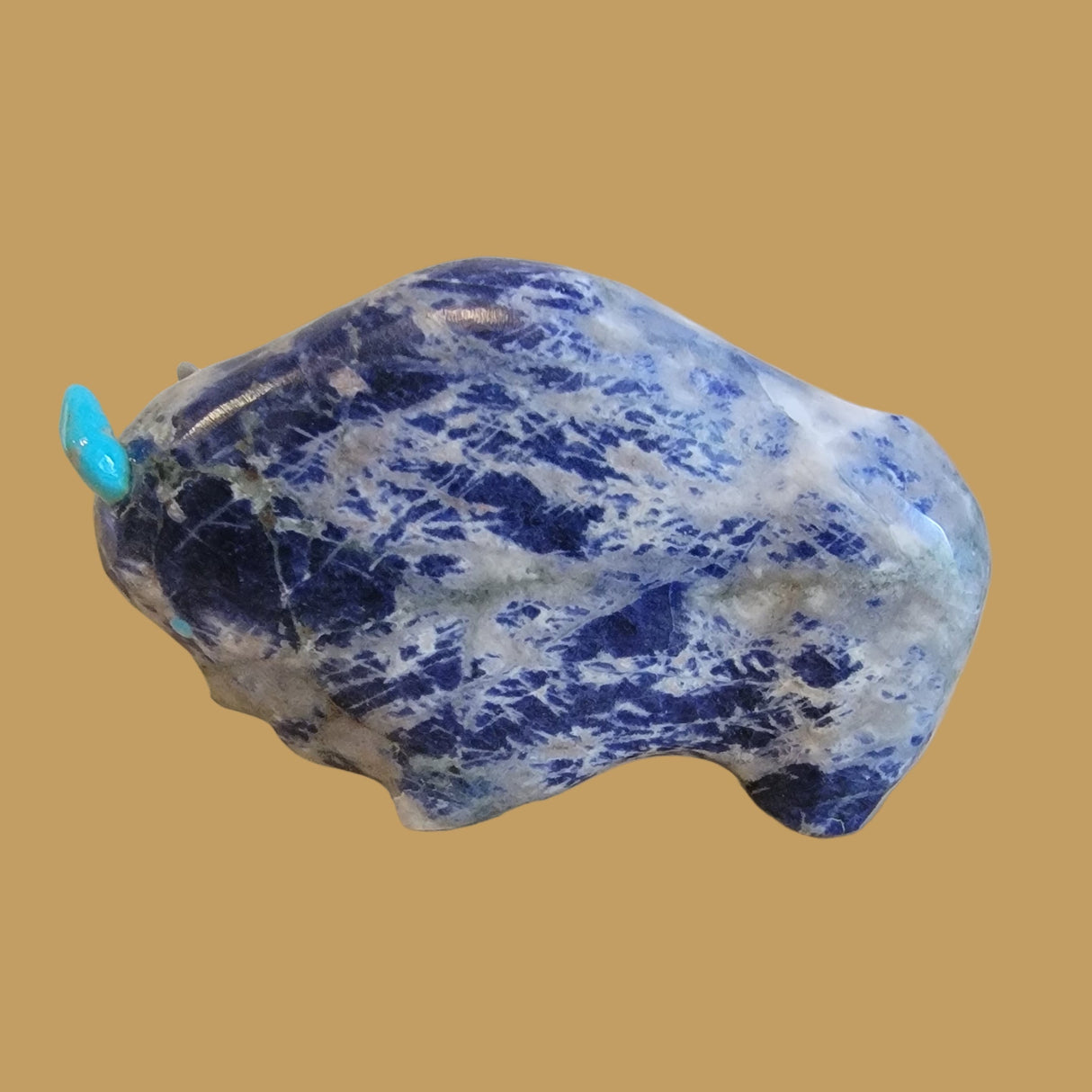Large and Powerful Sodalite Bison/Buffalo Zuni Fetish