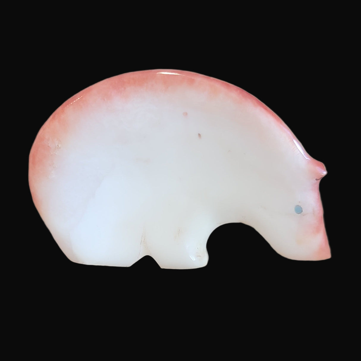 Classic Orange Spiny Oyster Shell Medicine Bear Zuni Fetish