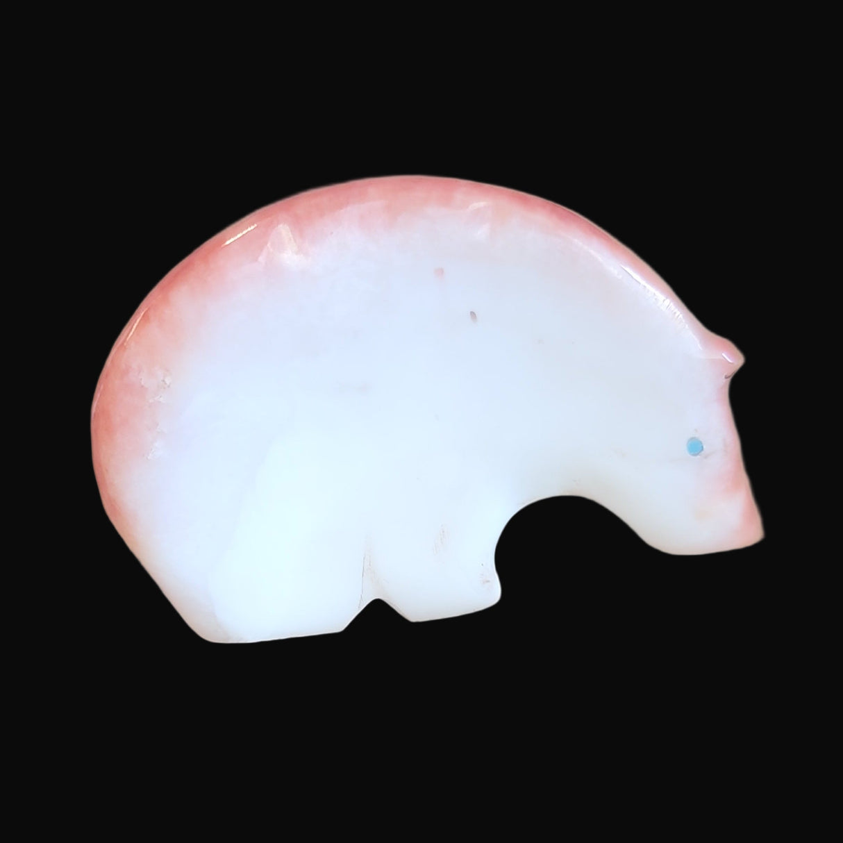 Classic Orange Spiny Oyster Shell Medicine Bear Zuni Fetish