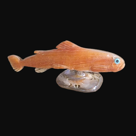 Elegant Abalone Shell Rainbow Trout Fish Zuni Fetish