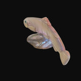 Elegant Abalone Shell Rainbow Trout Fish Zuni Fetish