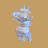 Antler Mythical Desert Jackalope Zuni Fetish