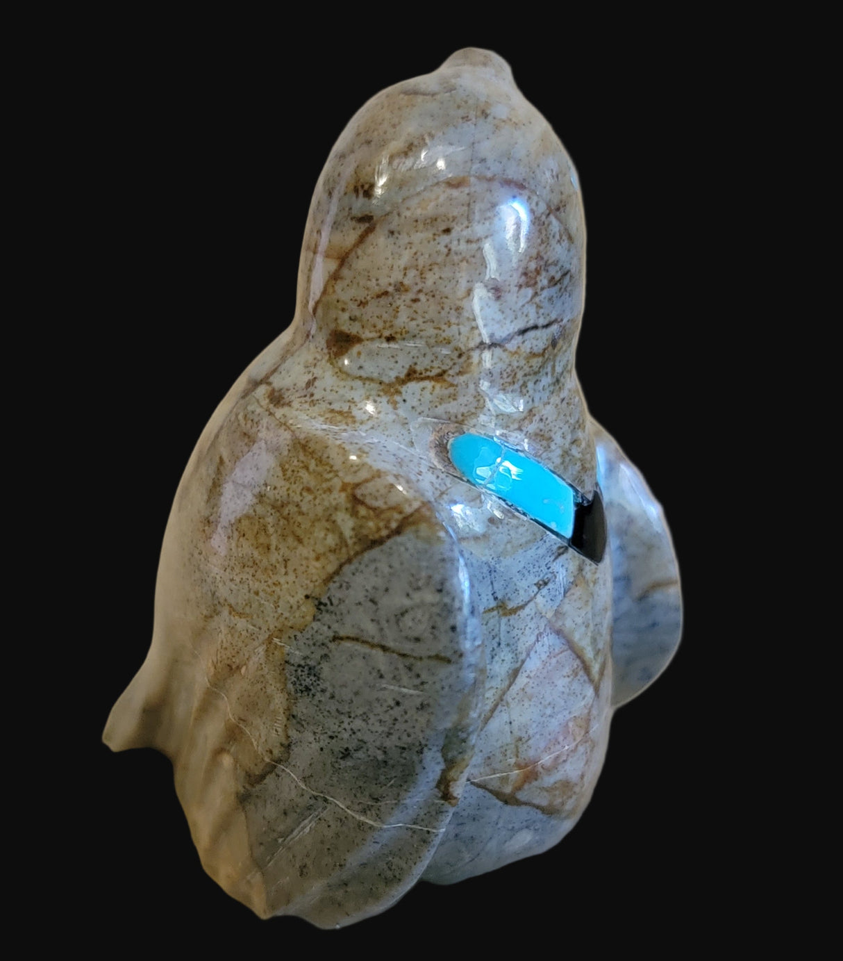 Picasso Marble Messenger Bird w/ Inlaid Necklace Zuni Fetish