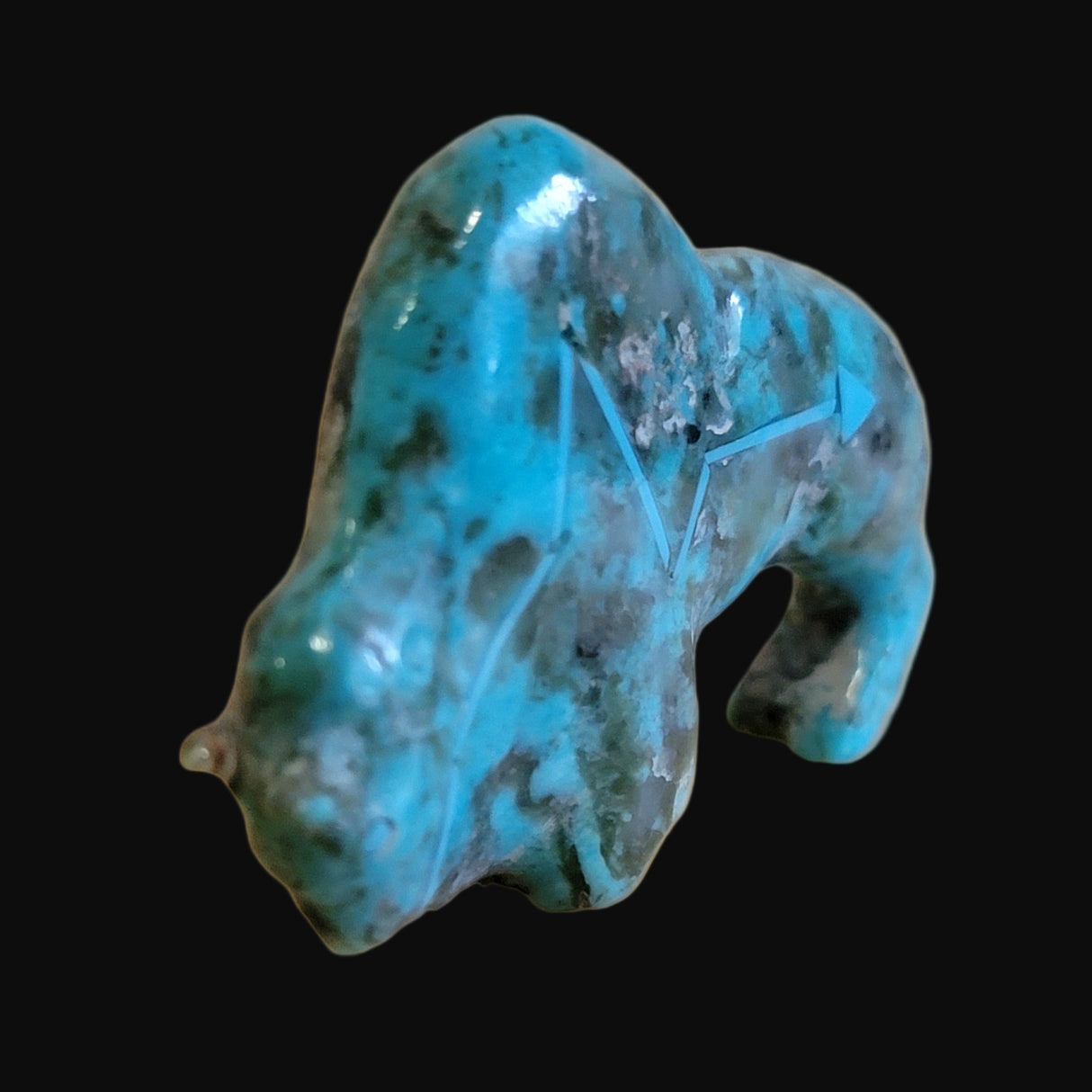Elegant Turquoise Bison/Buffalo w/ Heartline Zuni Fetish